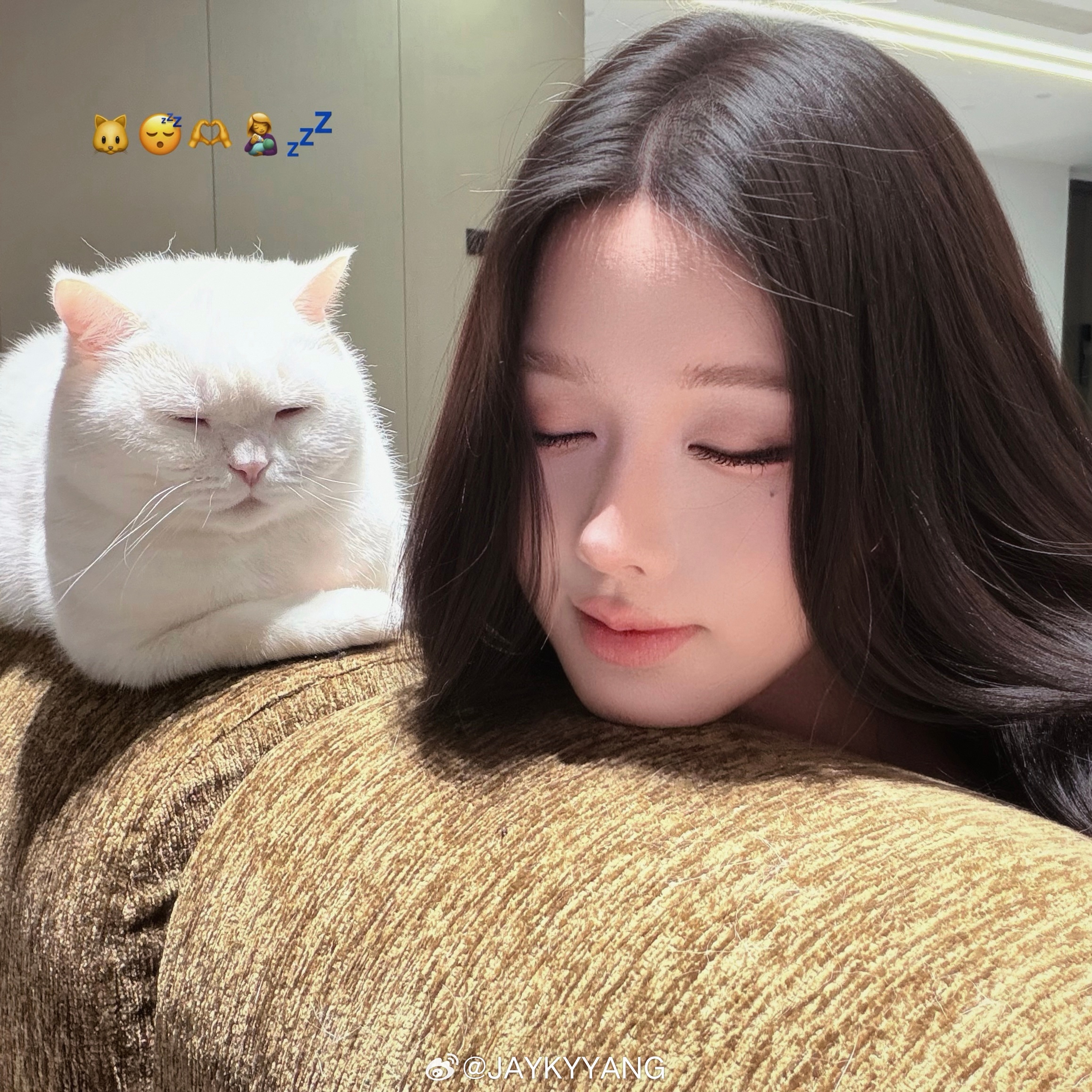🦭呆萌生活 （和小猫小狗和工作 