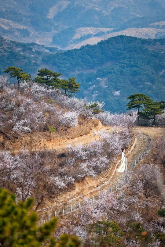 宜户外🔀昌平湖门村6公里赏花小环线