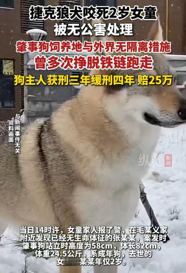 咬死女童烈性犬多次挣脱铁链，这是发生在河南汝州的一起烈性犬伤人致死案，狗主人因为