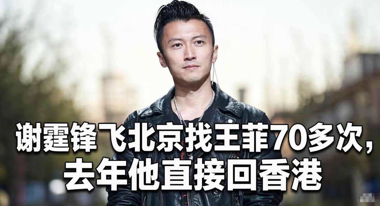 一段感情里，再热烈的奔赴，终究抵不过人间烟火的温度。谢霆锋和王菲纠缠十几年的这段