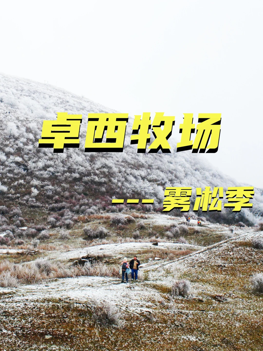 川西草甸冰雪季｜赏雾凇啦