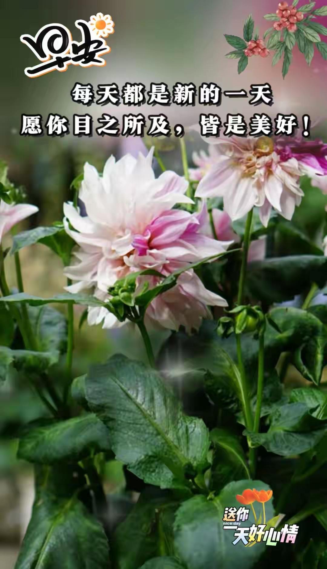 我新发布的内容被官方推荐啦！👍人的追求，人的梦想，都是最高境界，就是更加完美，