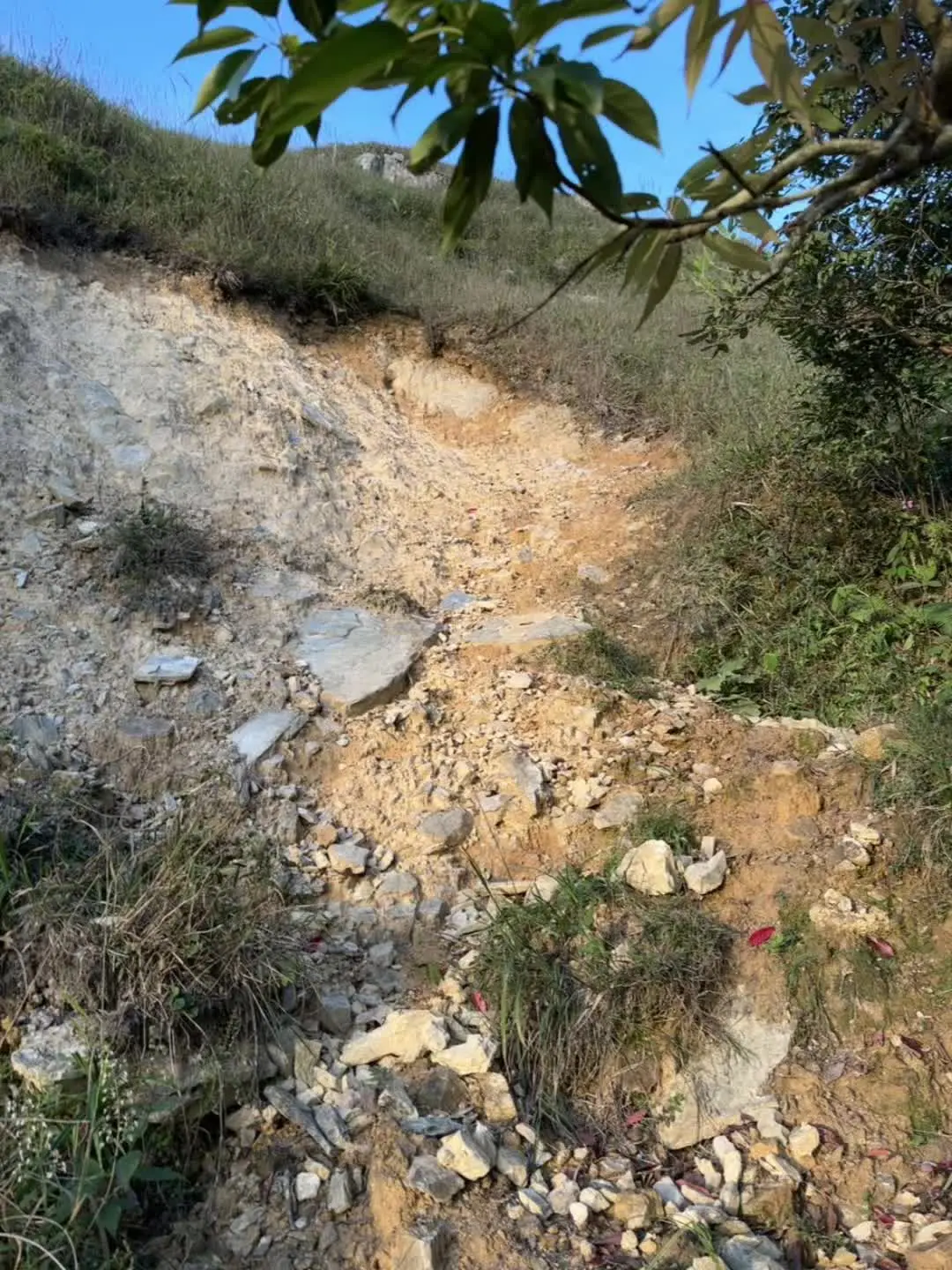 奋力冲向山顶的过程我更钟爱