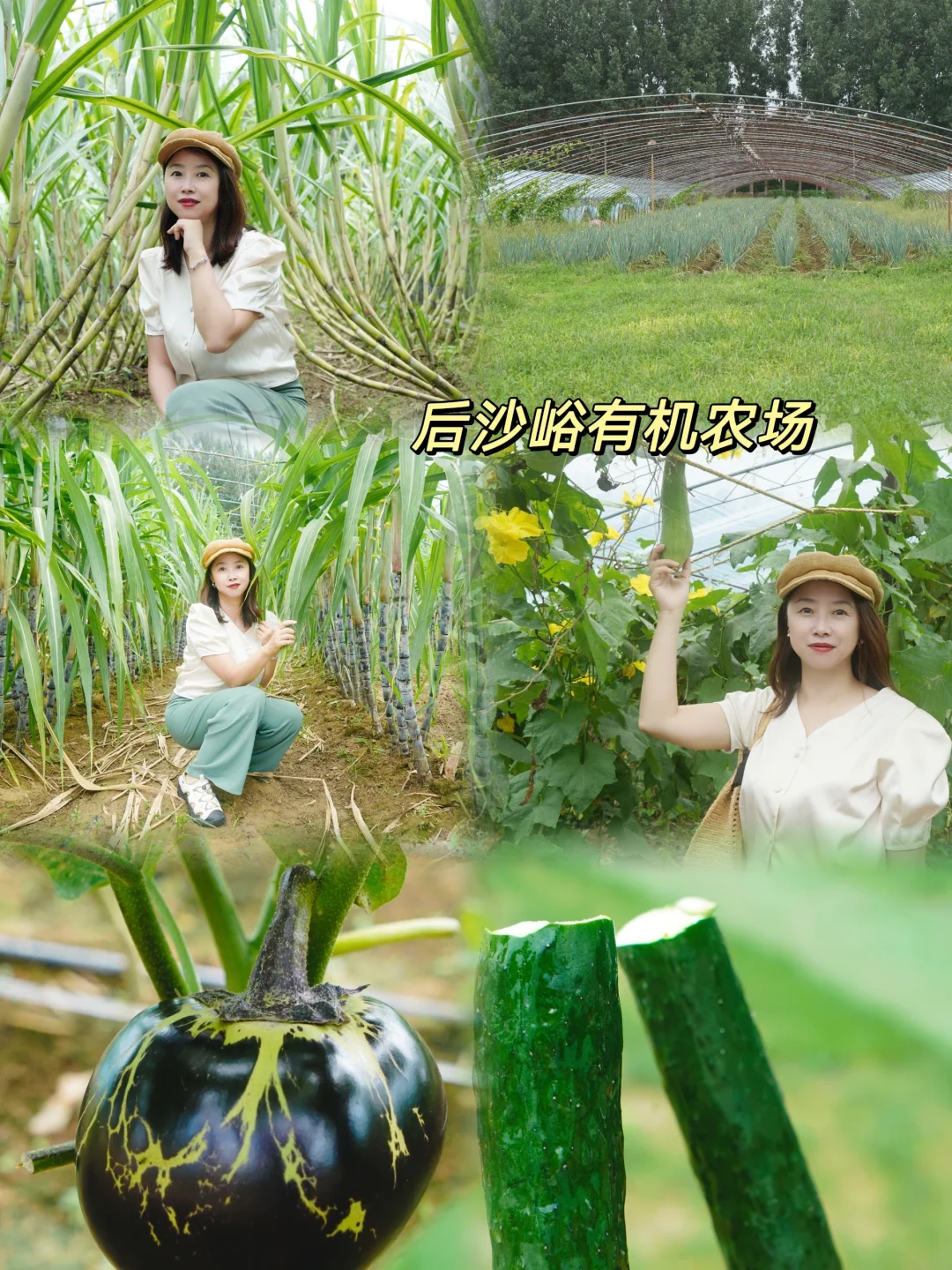 顺义幸福疗愈周末游！后沙峪2日游线路✨