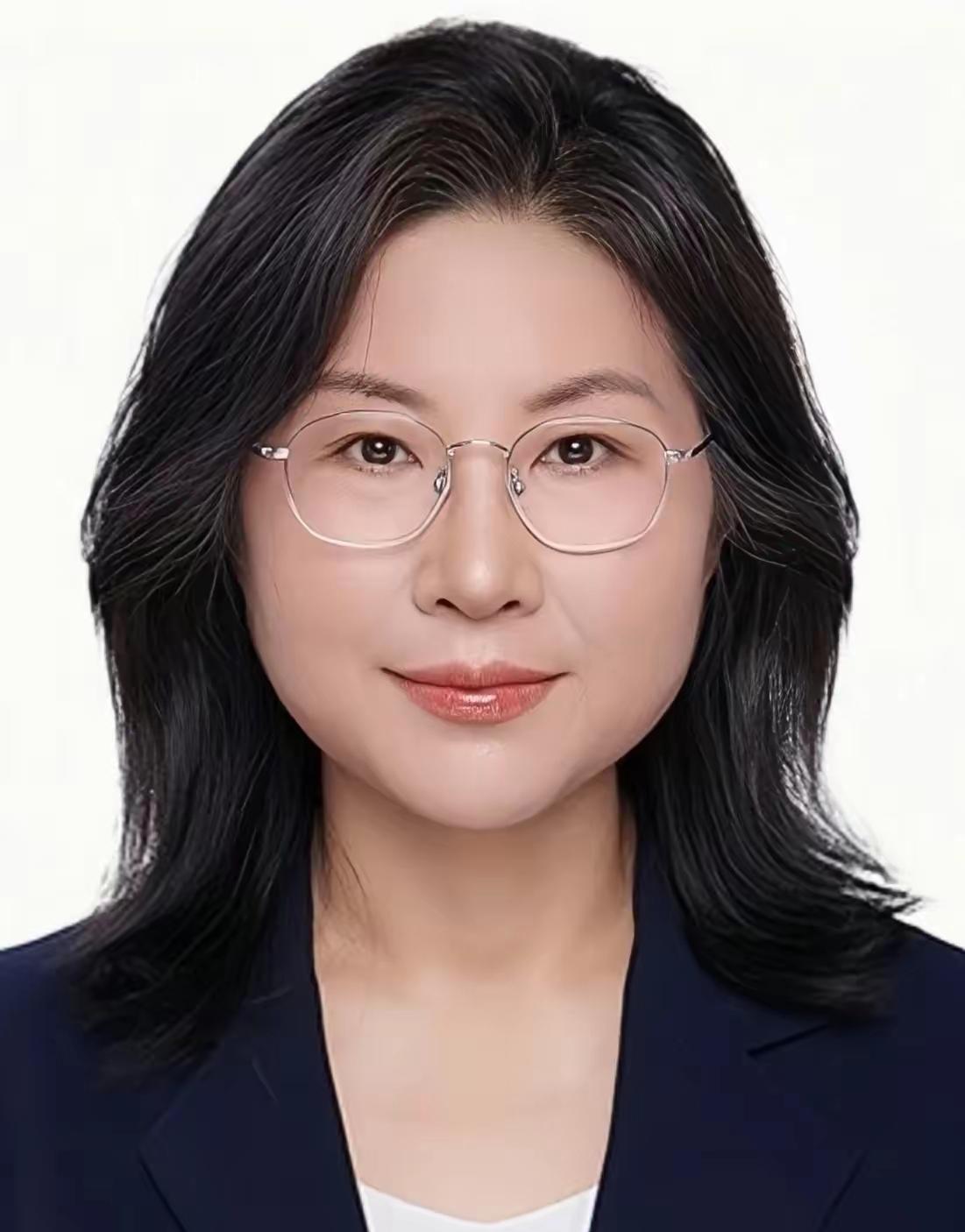 段慧玲，1970年5月25日出生于内蒙古赤峰，本科、硕士毕业于东北石油大学，博士