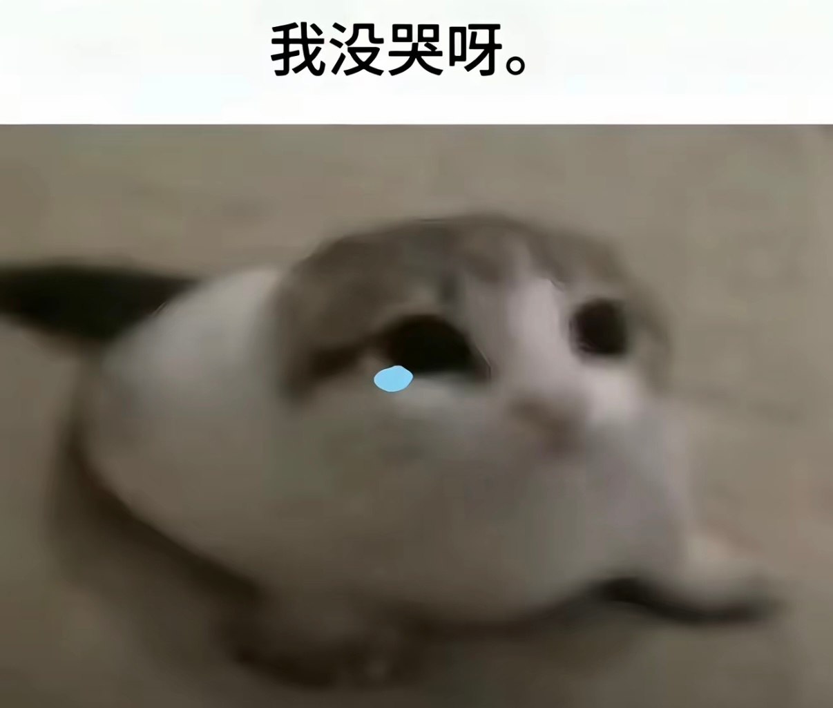 唉😮‍💨好想他 ​​​