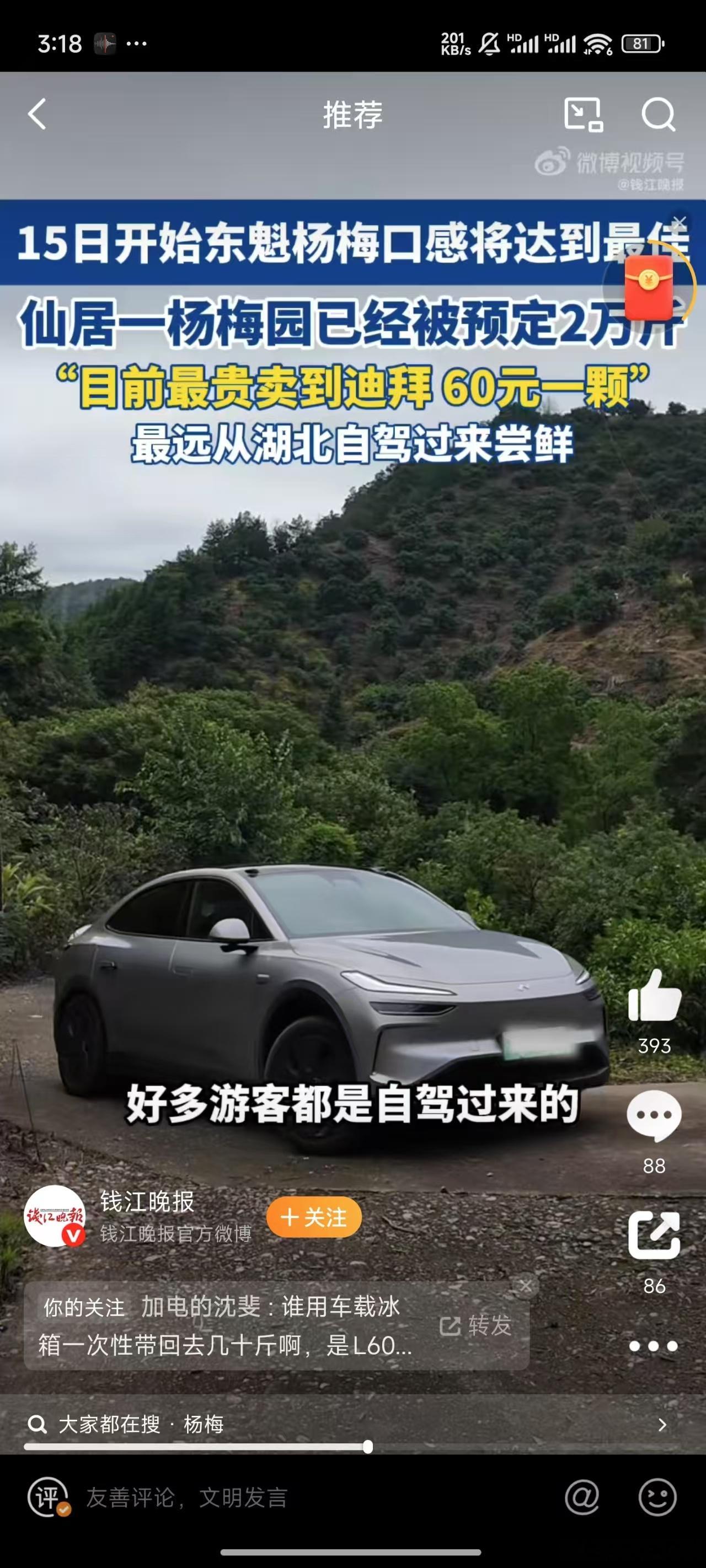 乐道的车载冰箱，直接把新鲜杨梅载回去，这个场景绝了水哥有话说 ​​​