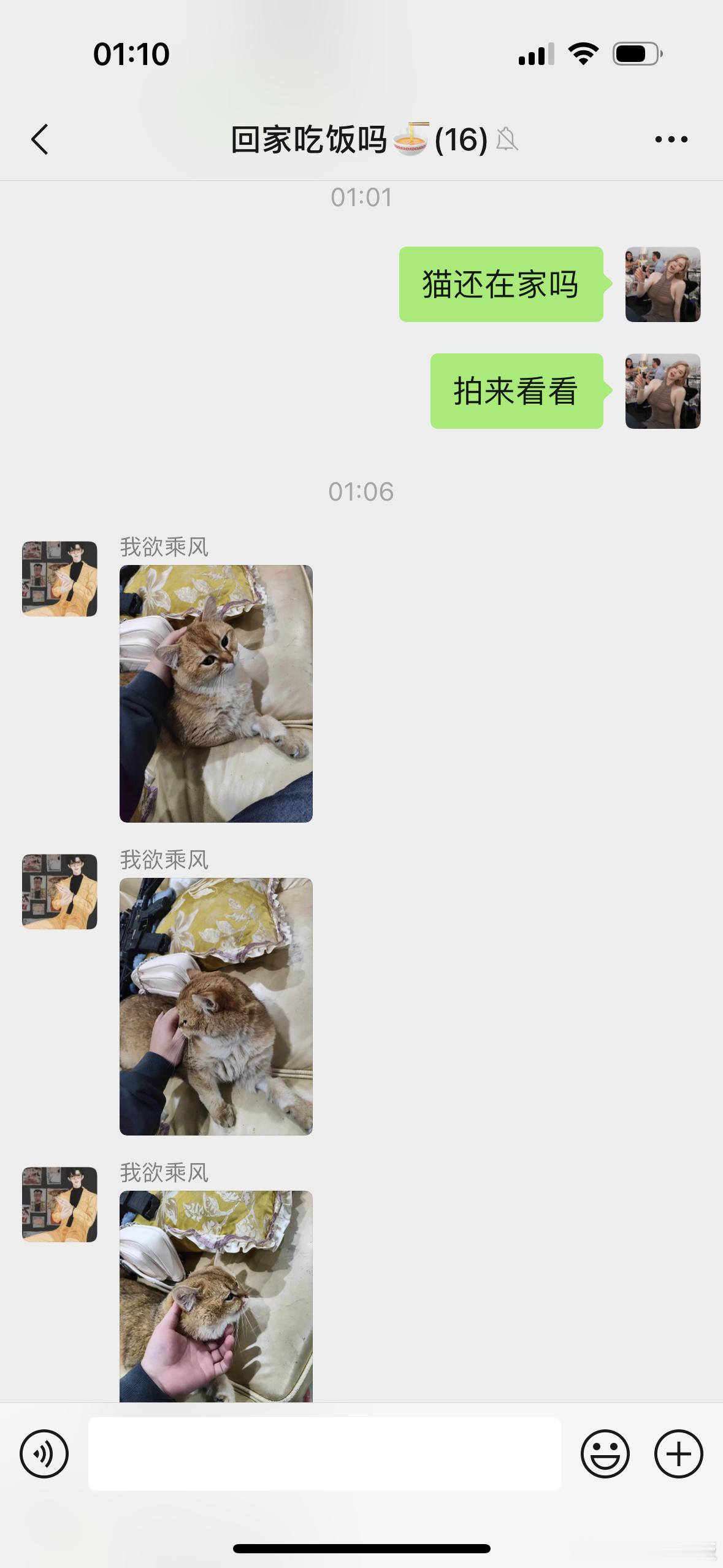出来旅游还想着家里的猫[泪] ​​​