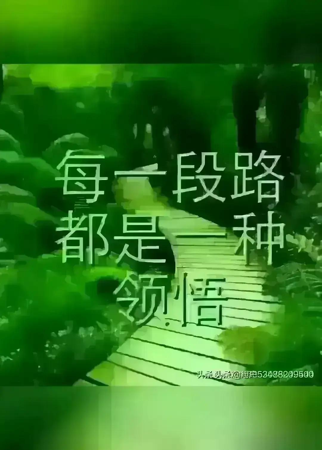 在生活缝隙里收集温柔点滴，
积攒属于自己的小快乐。