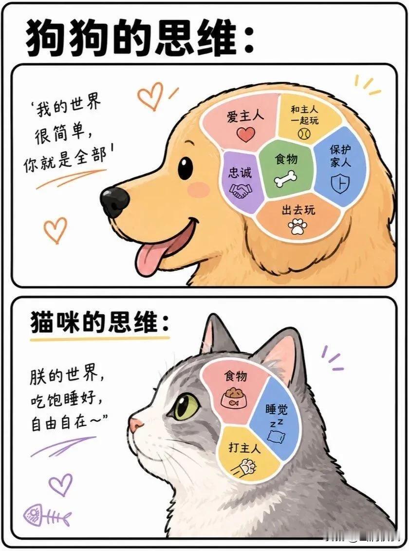 开心一刻
思维方式差异