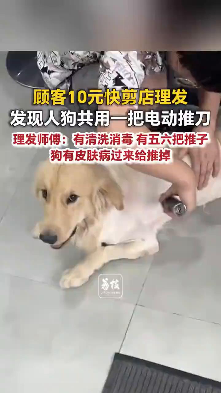 快点，你介意就不要来了吗？会处理的。清洗消毒，有喷雾清洗。我有五六把推子，昨天是