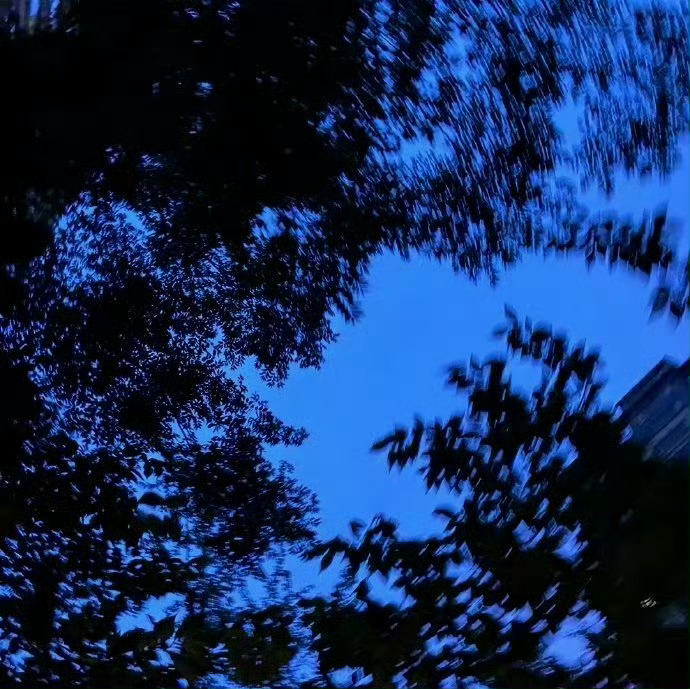 如果你也喜欢蓝色💙 