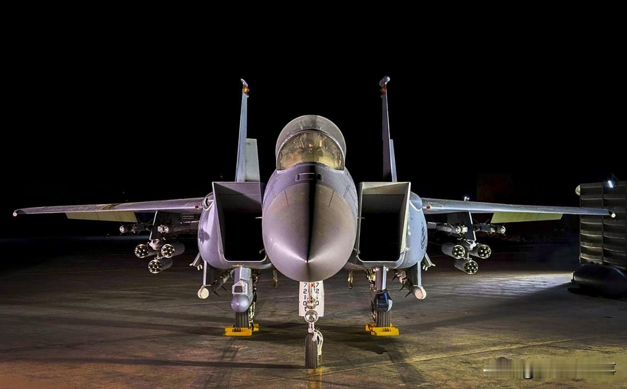 来自约旦穆瓦法克-萨尔蒂空军基地的美军F-15E“攻击鹰”战斗机，它专为反无人机