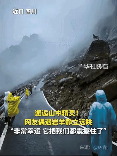 这一幕太震撼，连新华社都忍不住转发了！

四川，男子去莲宝叶则旅行，因为大雾缭绕