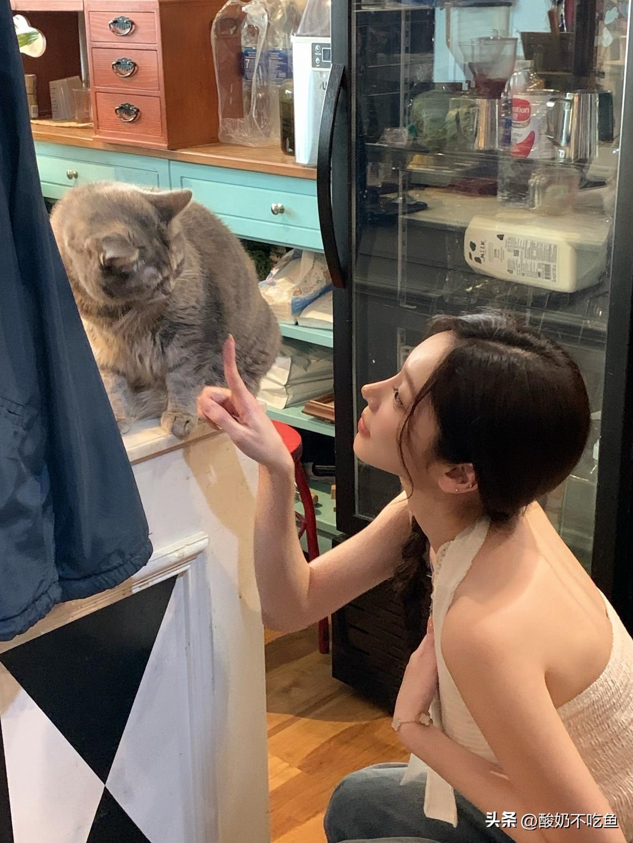 推开吱呀的木门，咖啡香混着旧物的气息，还有一只猫，正趴在复古打字机上打盹。