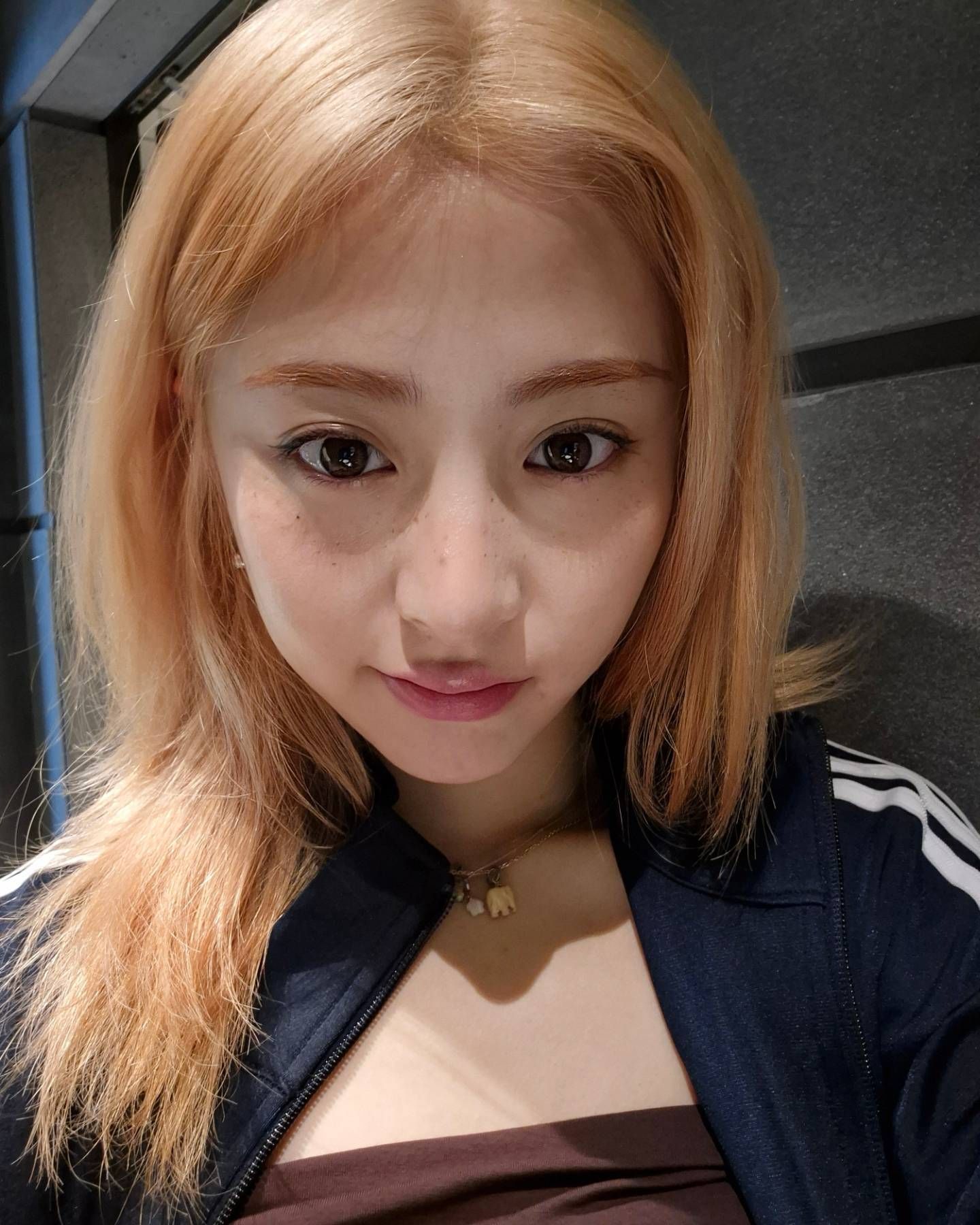 🌹 ​​​