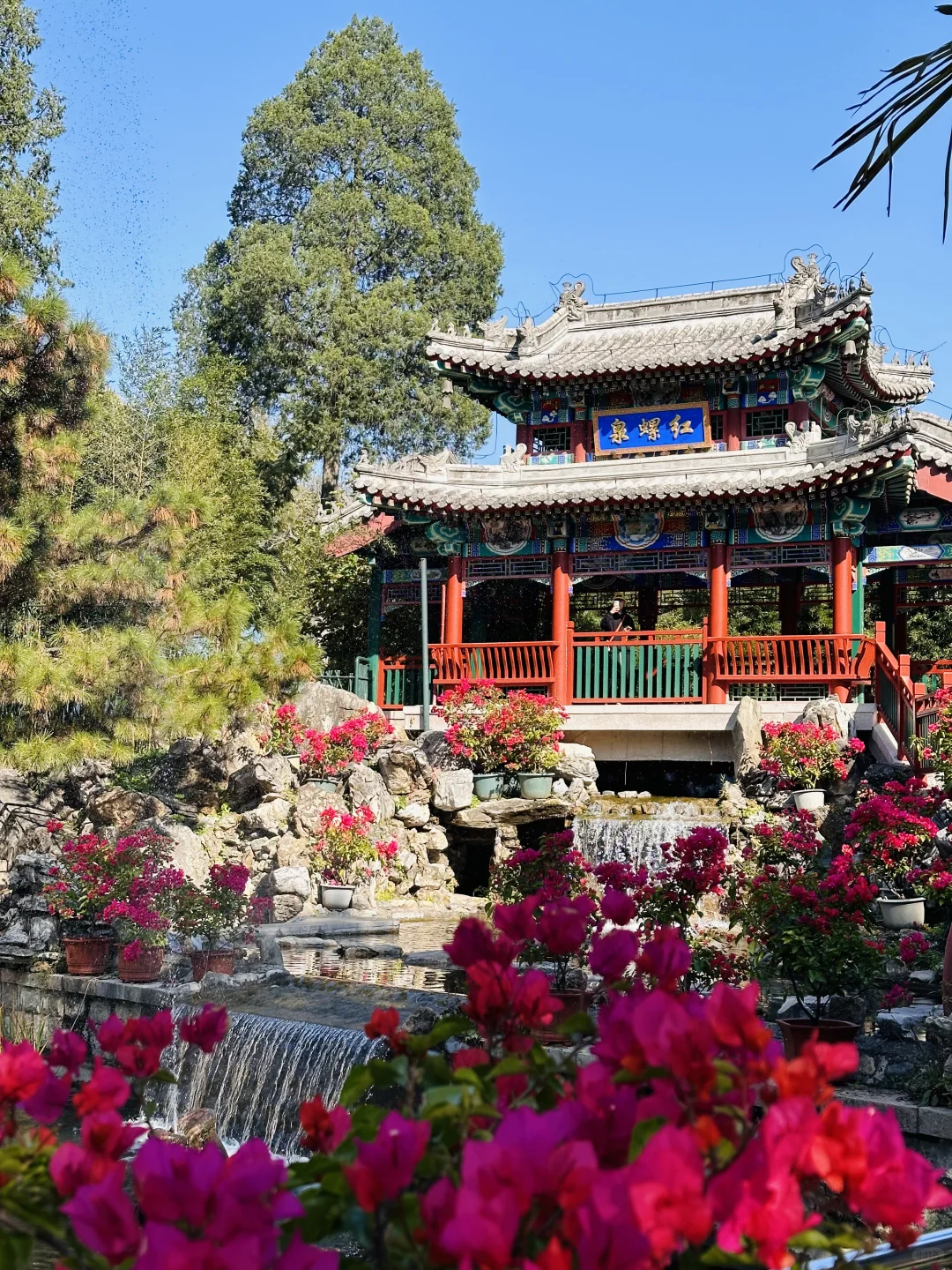 北京的秋🍂倒计时！这几个地抓紧冲！欢迎补充