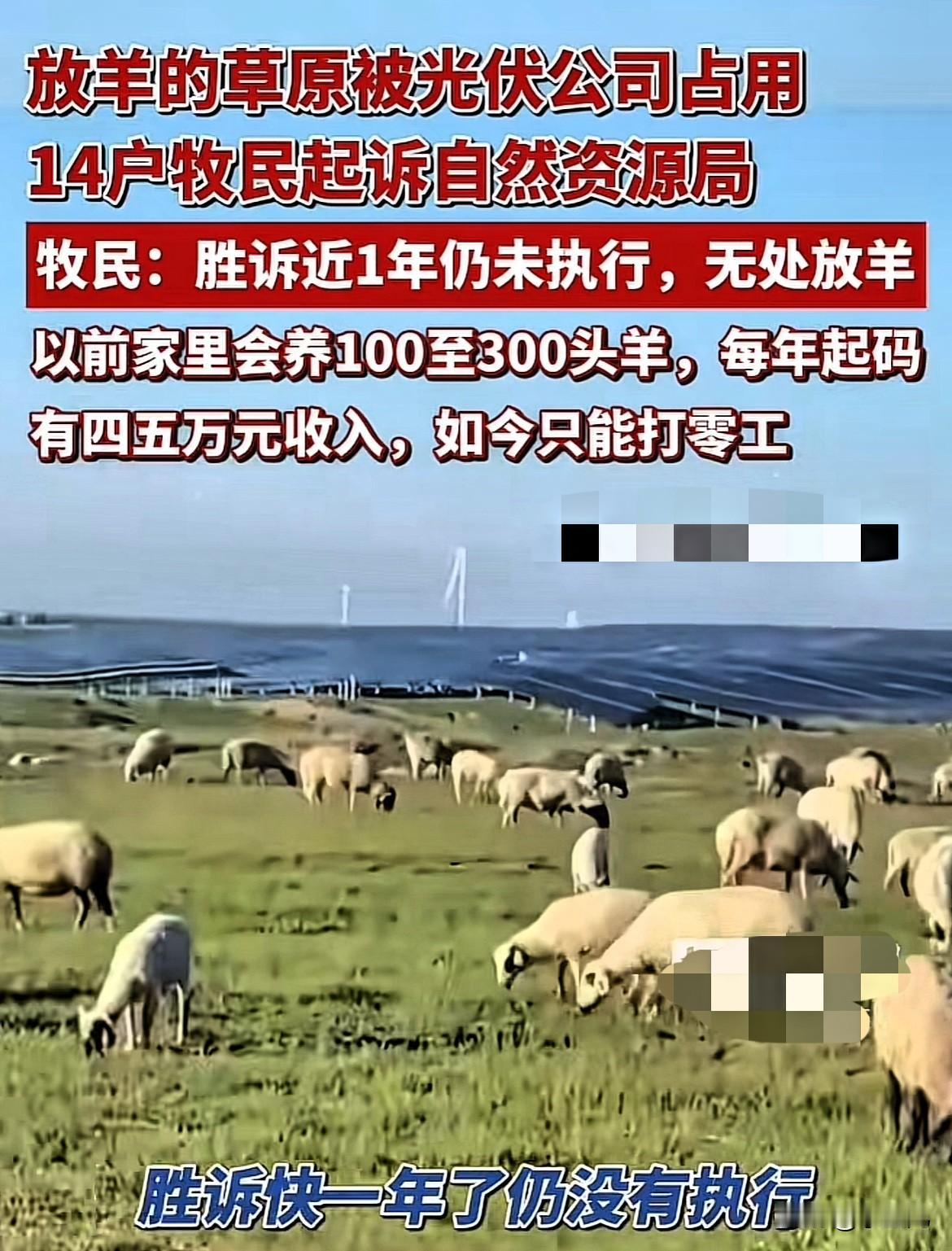 太欺负人了！宁夏，牧民们用来放牧的草原，在未经允许的情况下，被光伏公司占用，牧民