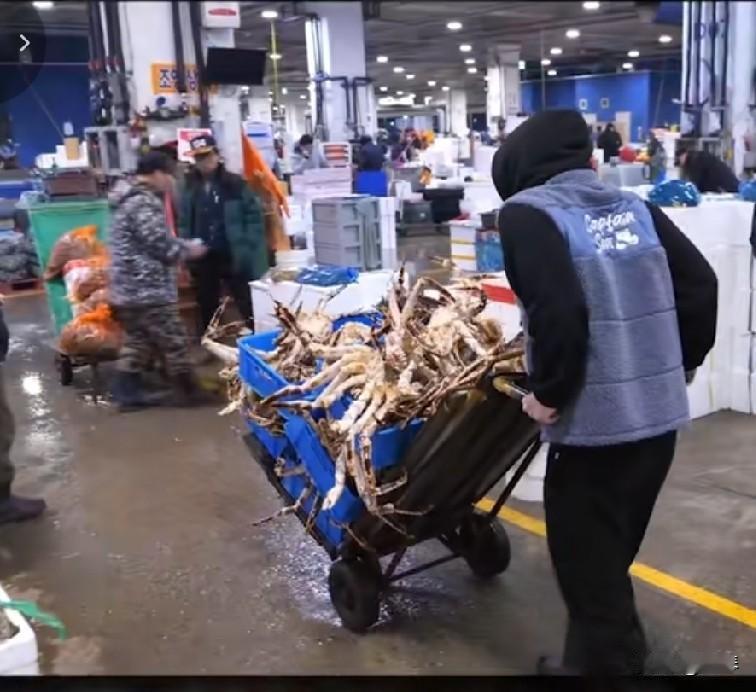 你还在吃海鲜吗？你喜欢吃海鲜吗？

想问一下大家，日本核废水排污后，他们的海鲜都