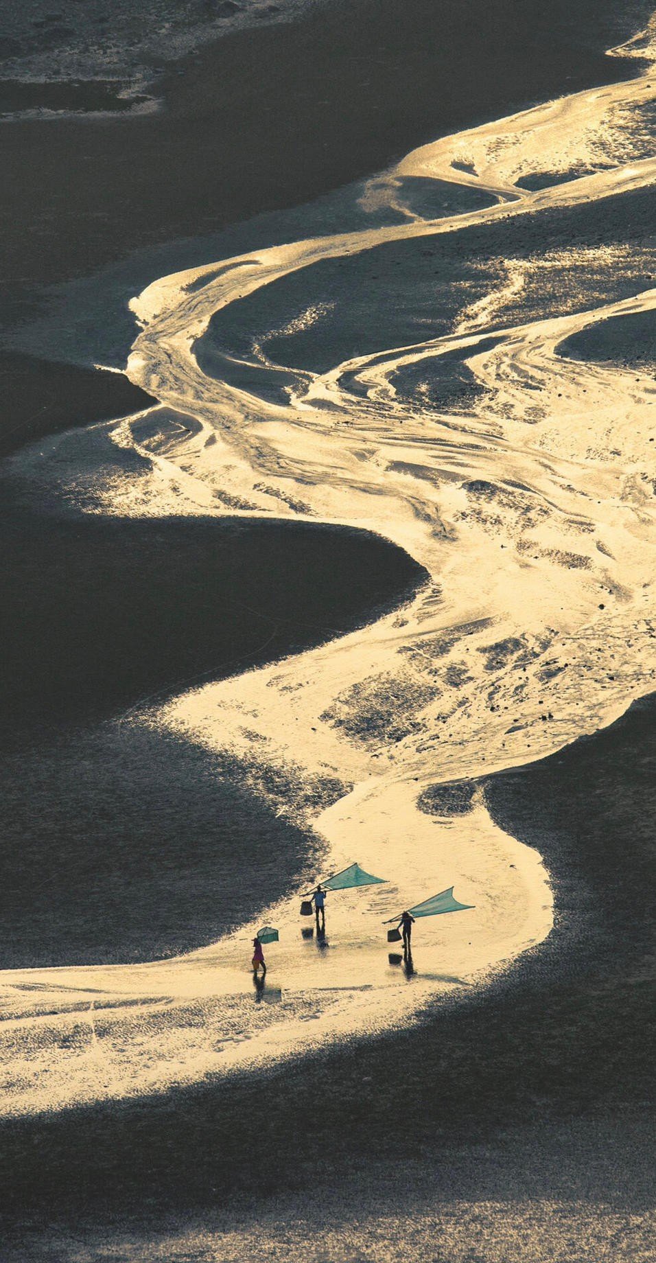 20240517日运指南辛巳日今天的这个日课带着比较明显的考验的气息，所以朋友们