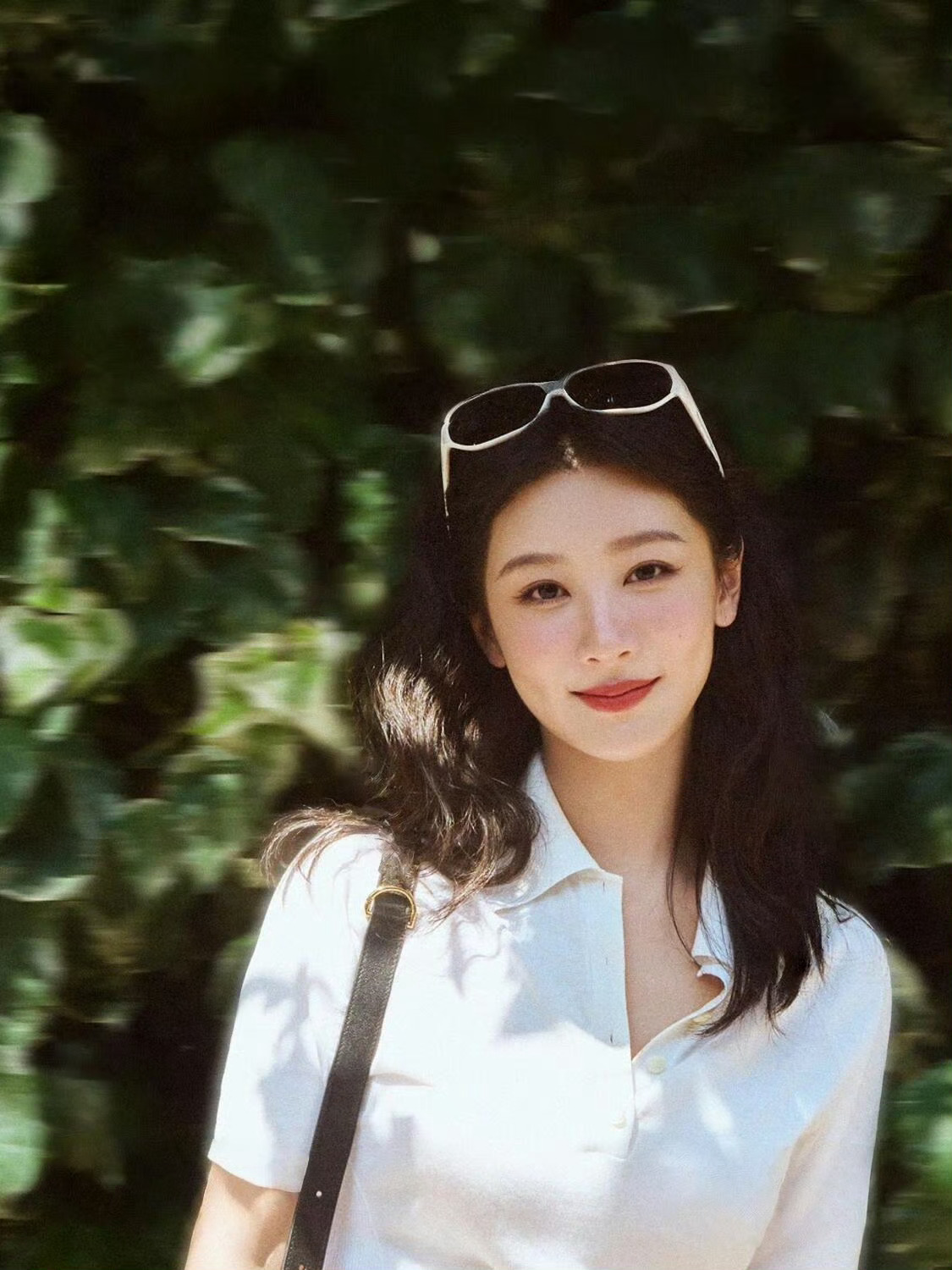 这可是我们视后第一天小红薯vlog以后期待更多更多好不好杨紫杨紫白玉兰视后