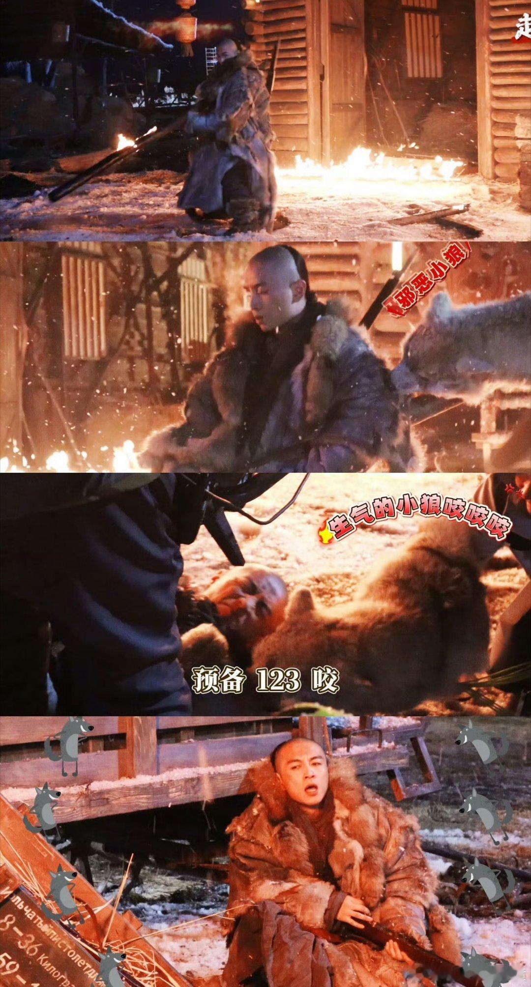 陈晓打的是灰太狼吧笑不活了！陈晓认真对戏的“小狼”竟是二次元灰太狼既视感。工作人