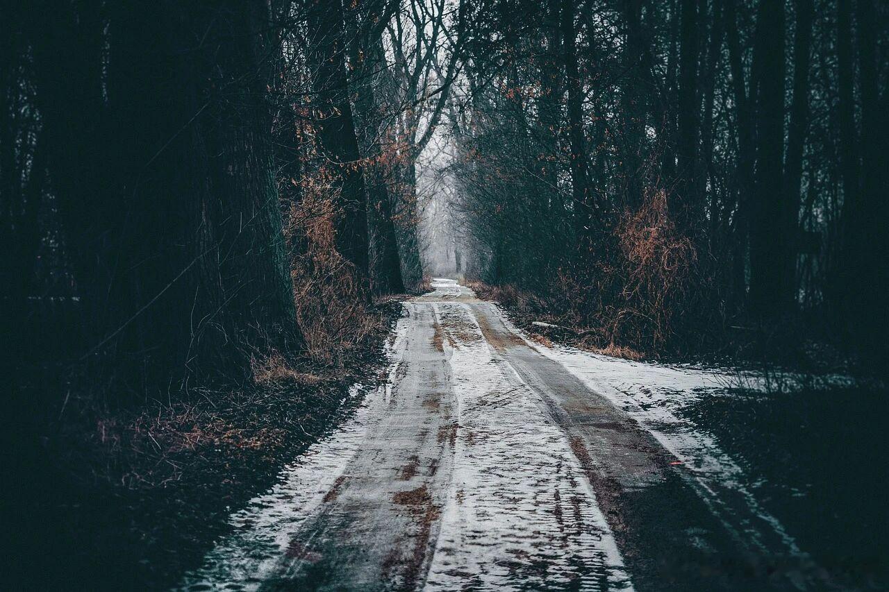 【中医药如何防治呼吸道疾病？】健康科普中医养生说冬季是呼吸道疾病的高发时期。近期