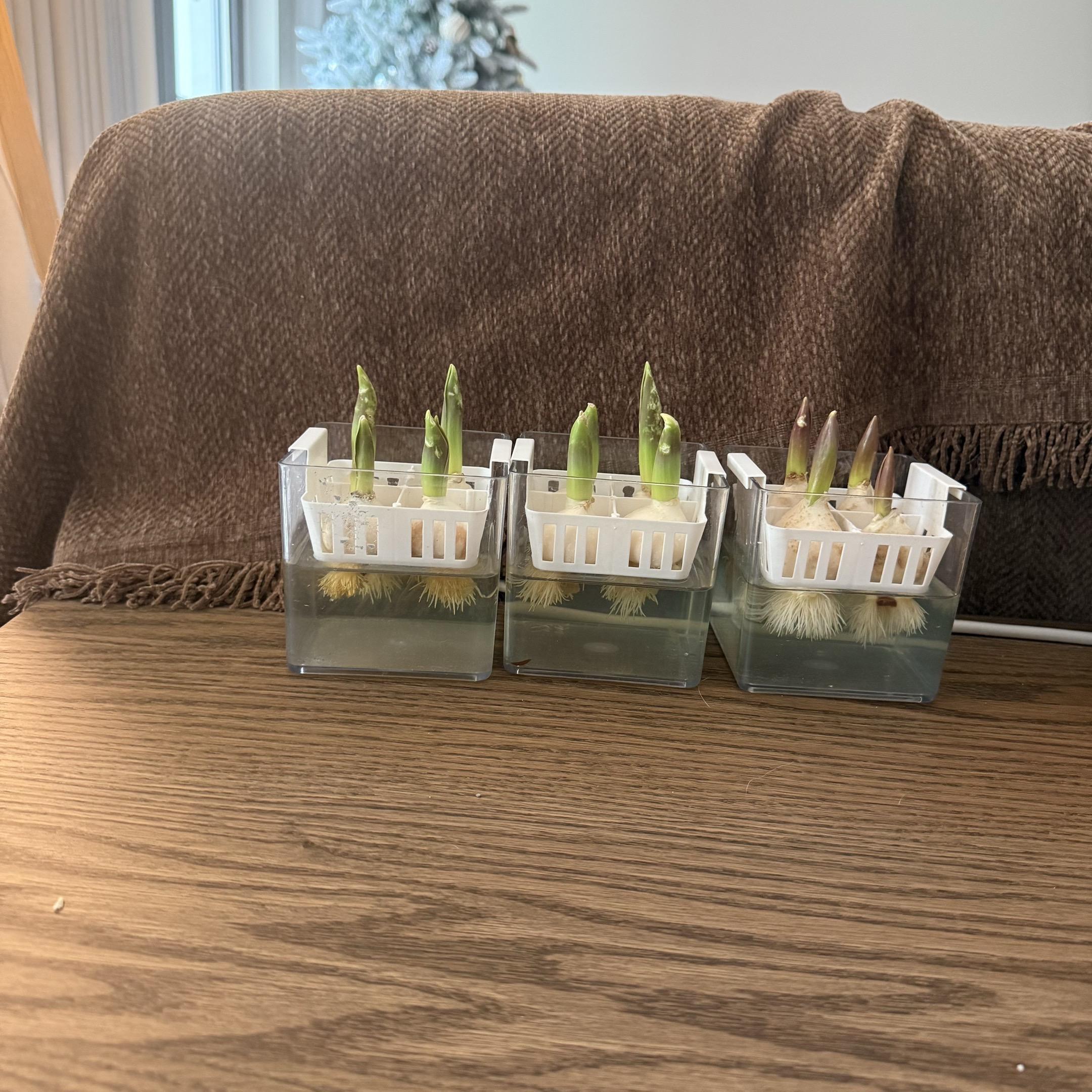 过程比结果更动人🌷