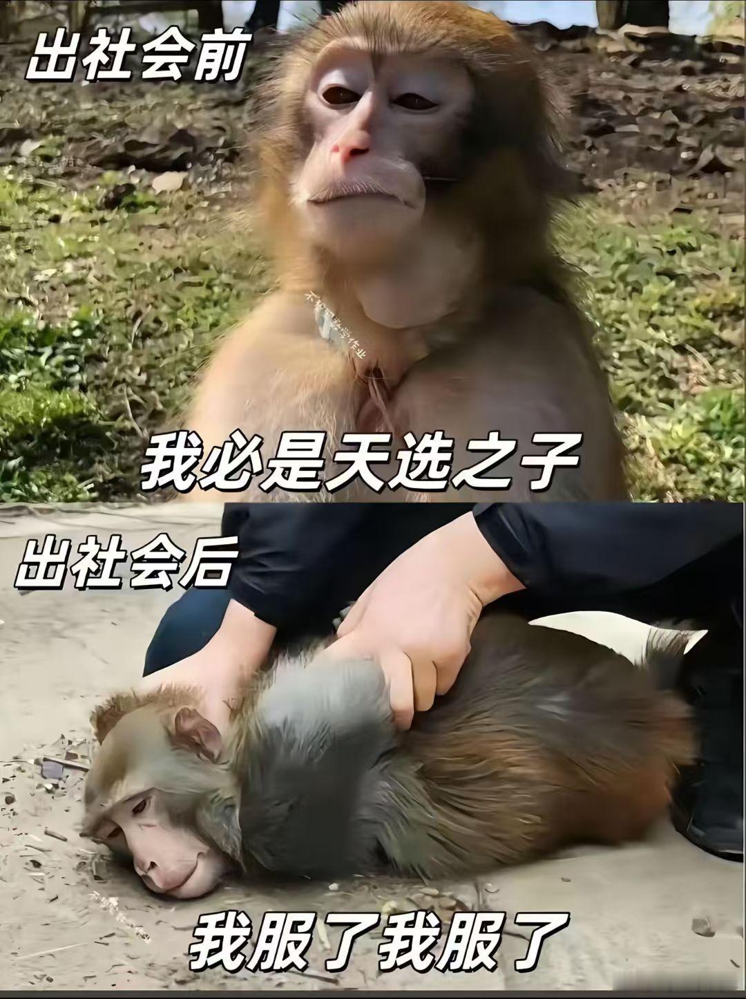 哎，都是草台班子[笑cry][笑cry][笑cry]都不说广告、贷款、预装这些国