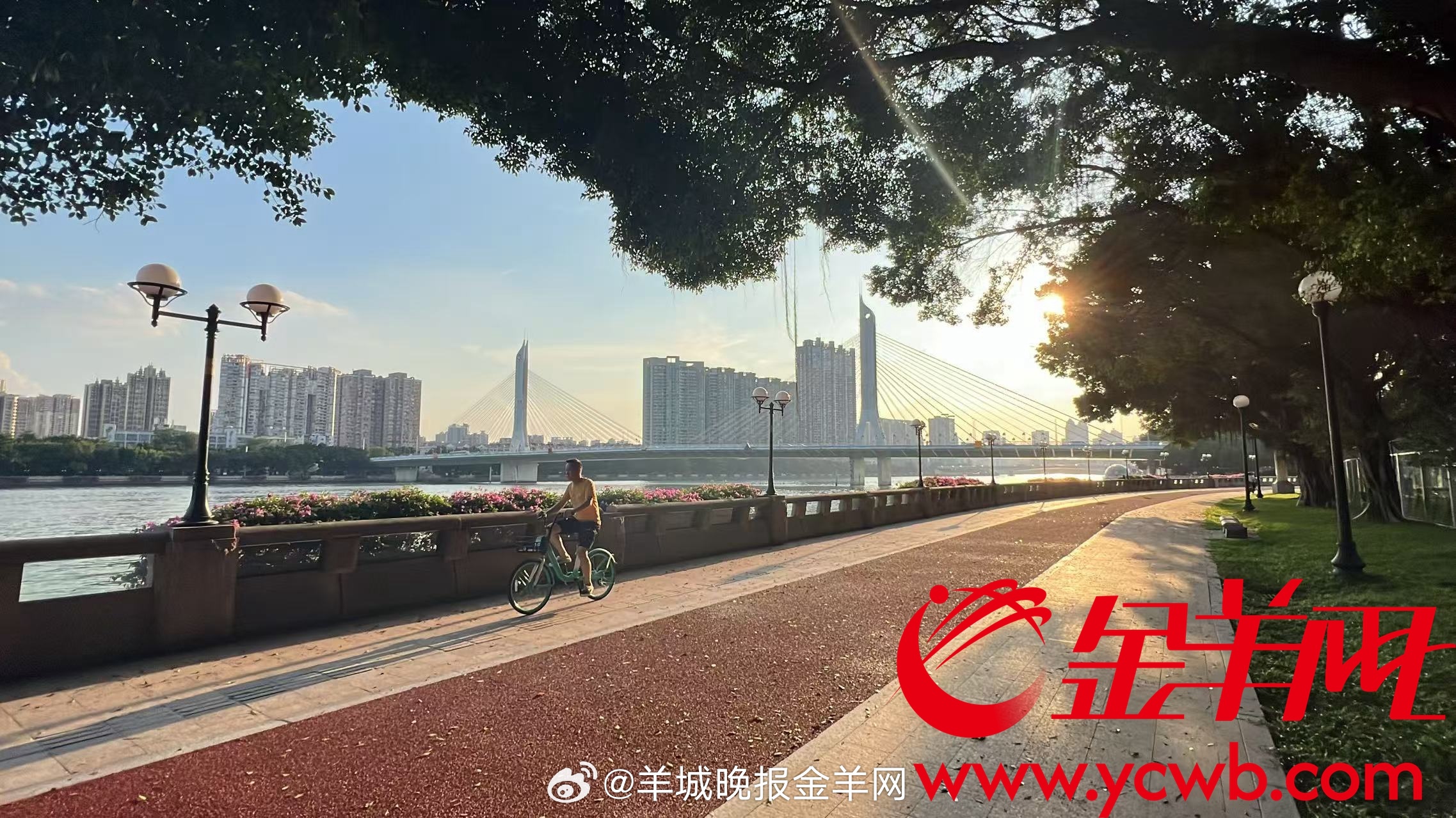 #早安#生活之路，时常充满挑战，但愿你能始终保持阳光心态，勇敢面对，不失善良与可
