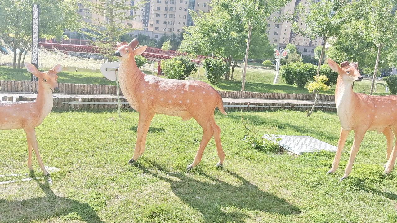 萌趣鹿群，绿意盎然，城市中的小确幸🌿🦌