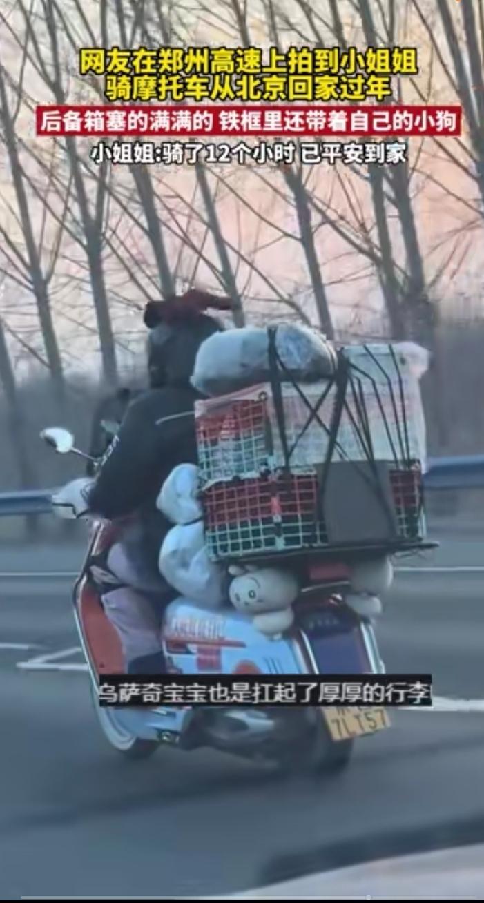 小姐姐骑摩托12小时回家过年，后备箱还带着“小毛球”！骑摩托远行 摩托车上的女生