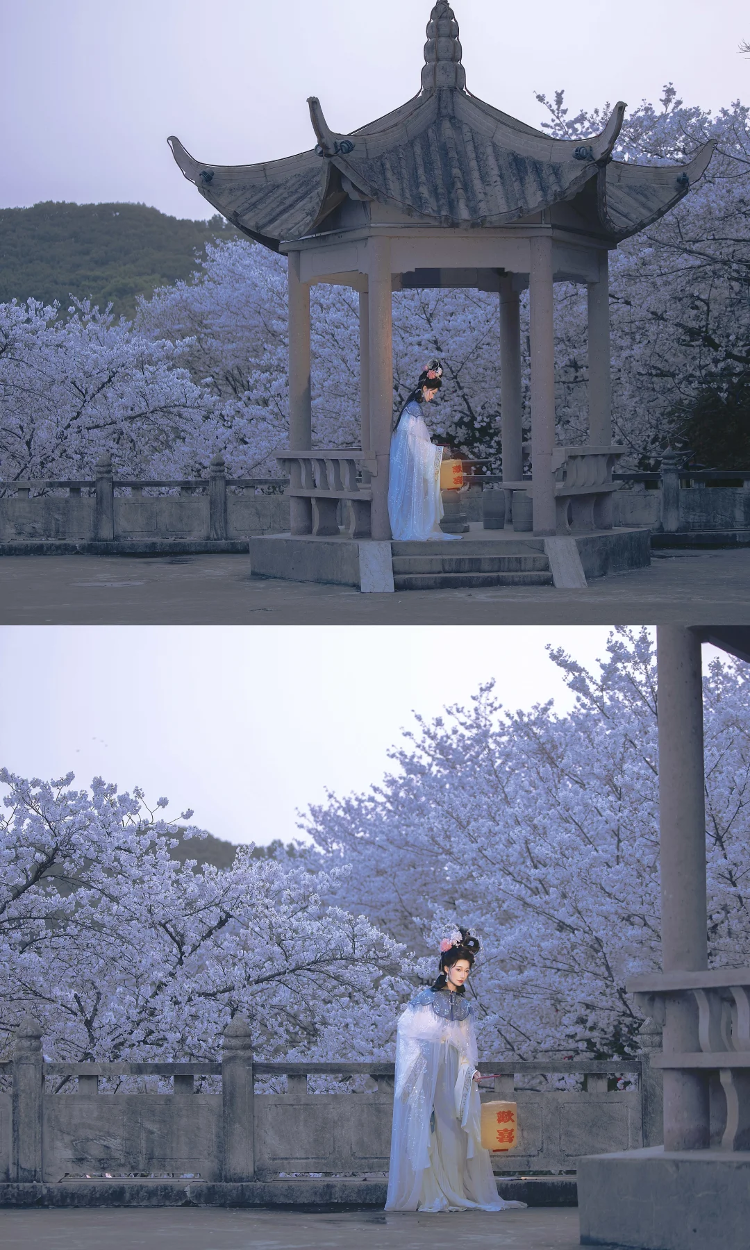 “花下逢君”🌸