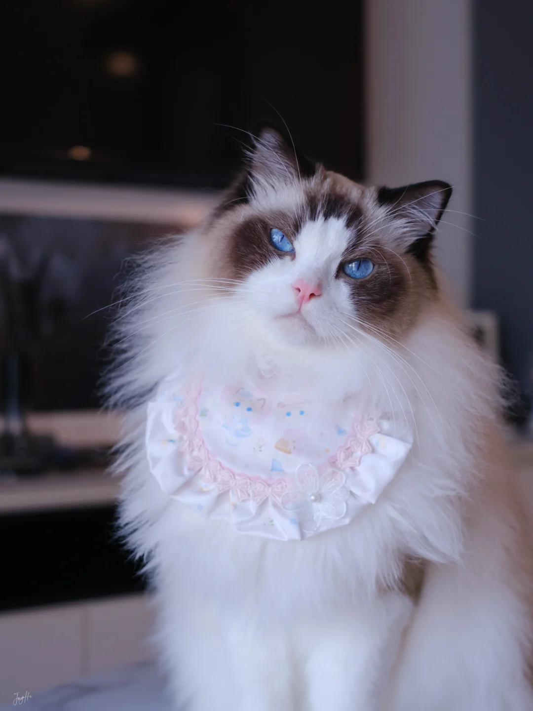 粉色娇嫩 如今你几岁？