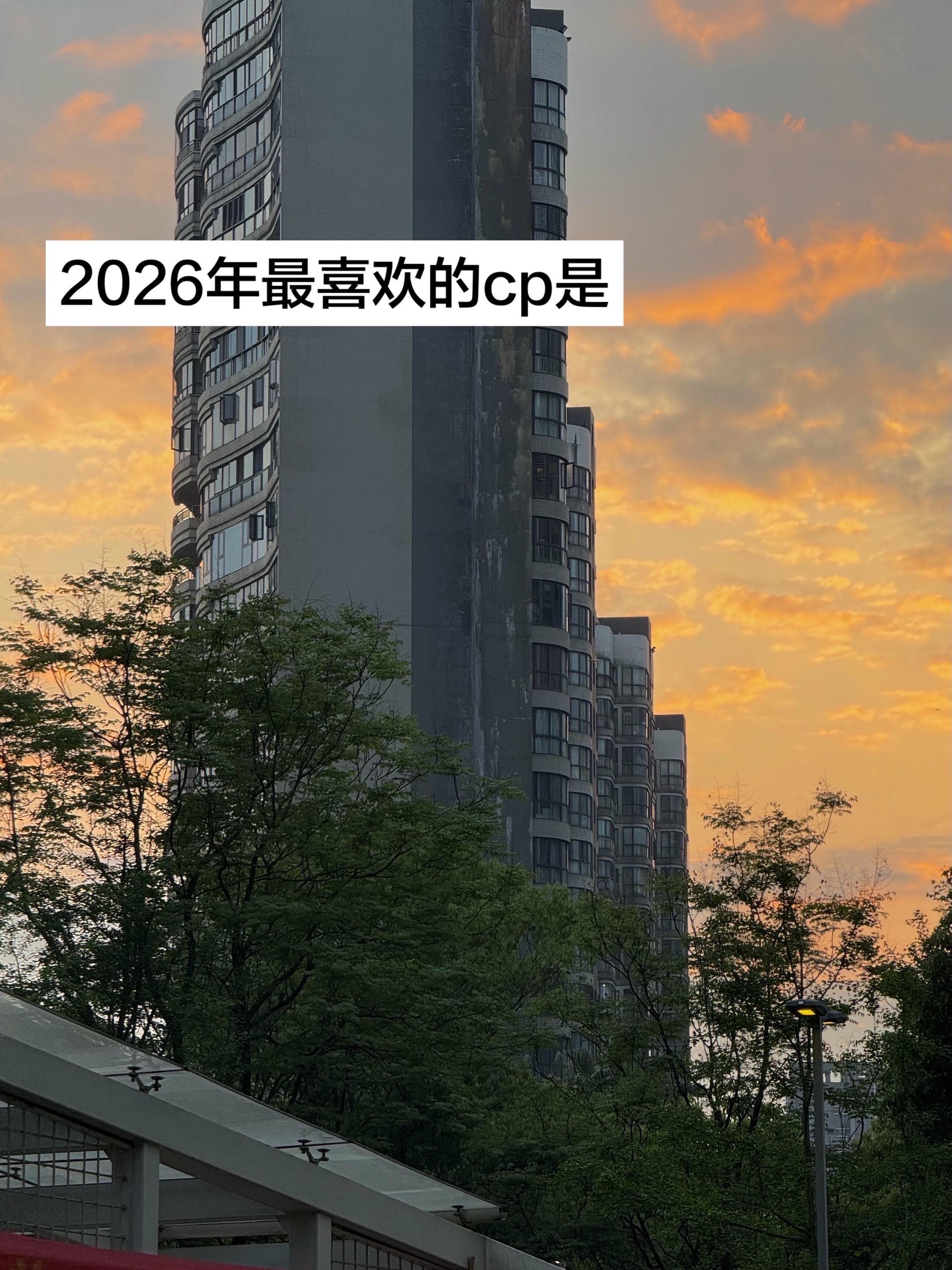 cp 电视剧