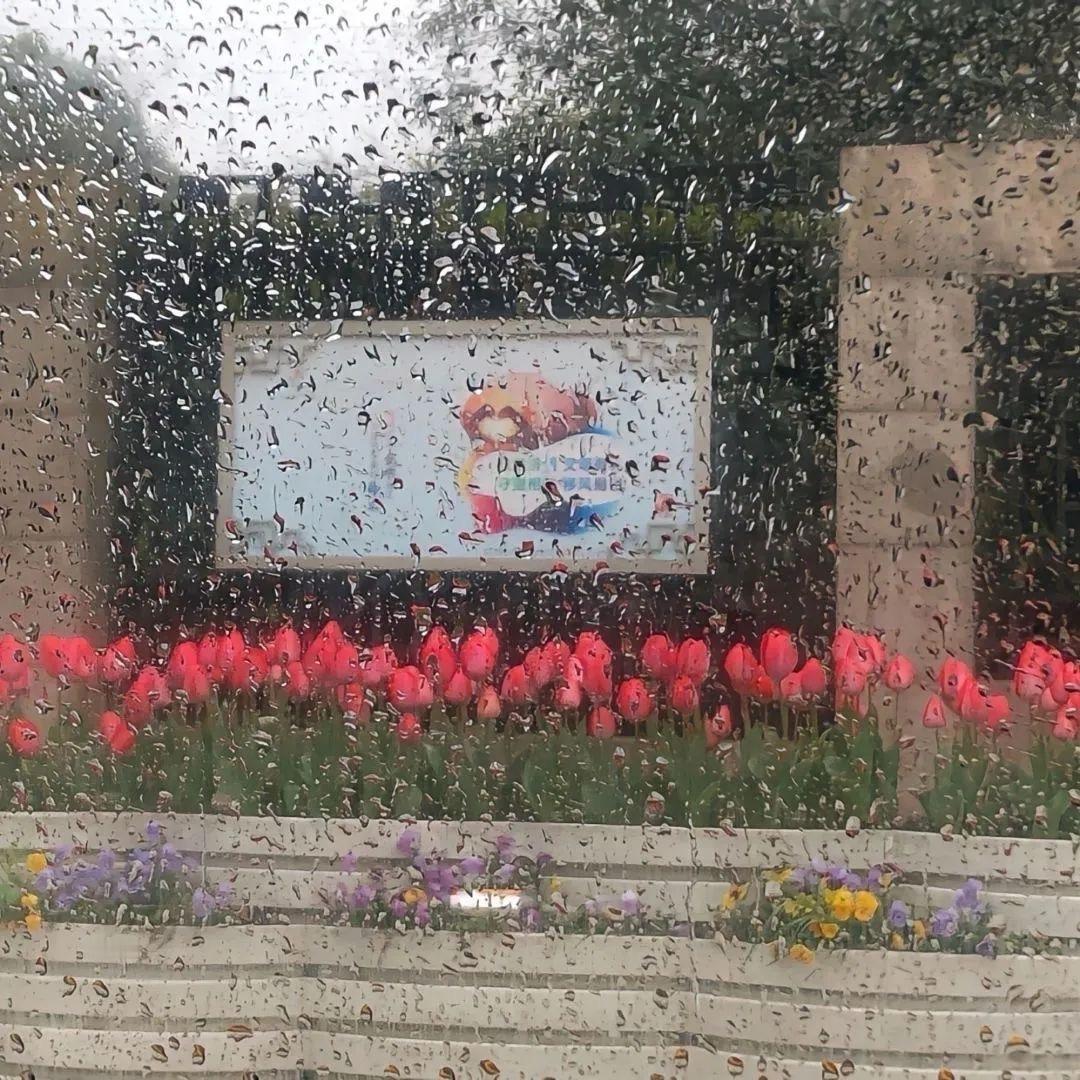 到生命迅速流逝，而我却没有真正生活过，我就无法忍受。｜海明威《太阳照常升起》 