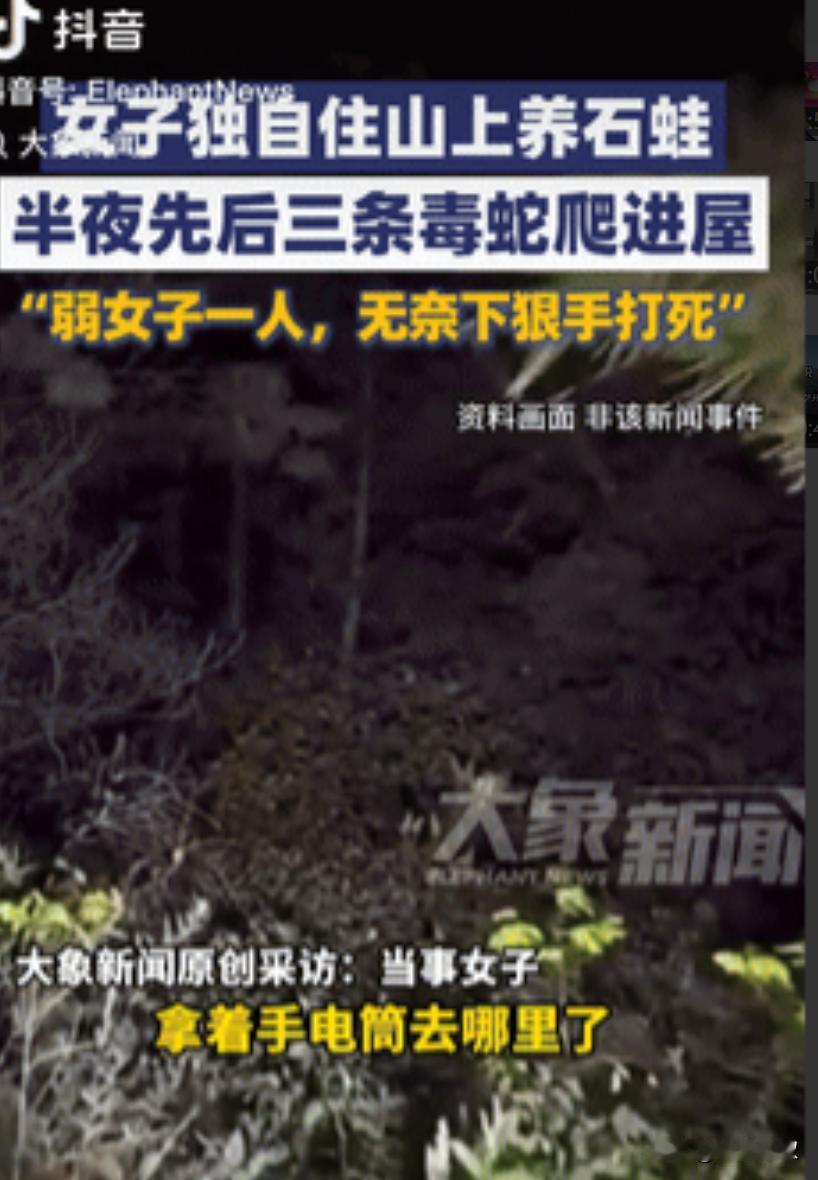 胆子可真大！湖南永州，一女子独自住山上养石蛙，晚上临睡前竟发现房间里有3条蛇，可