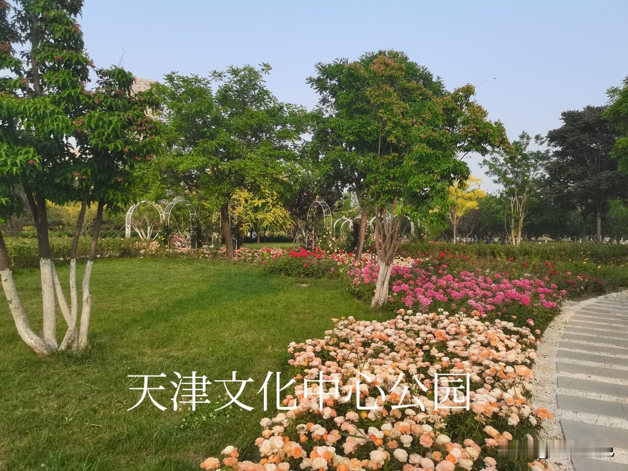 悄悄的来，默默的去。来时你是两手空空，去时你是一无所有。你带不走一丝的金银财宝，