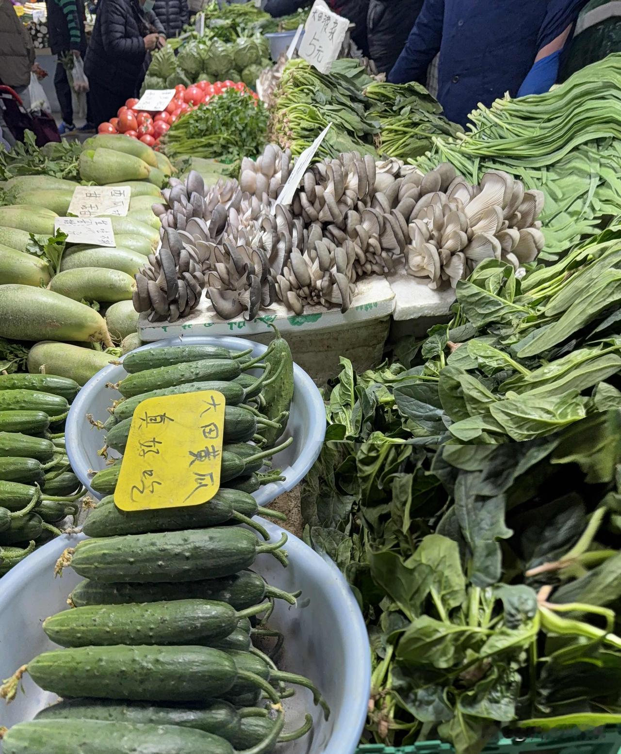我昨天上午去十五大街菜市场买菜了，我可有好多天没有来买菜了，今天我先直接去海鲜摊