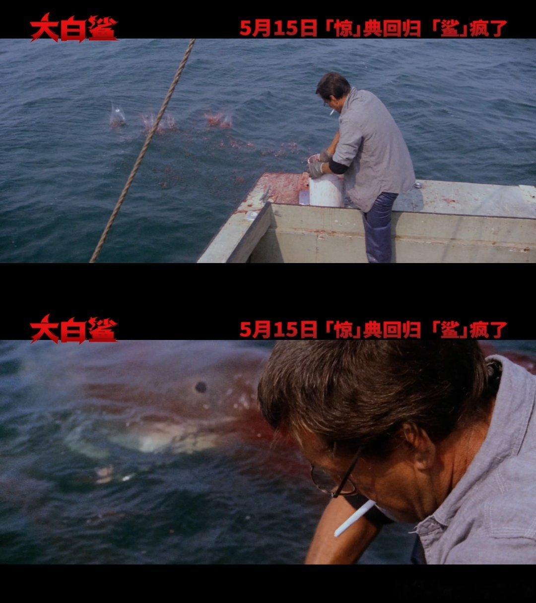 电影真神鲨回来了 老片重映最期待的就是这部，《大白鲨》作为惊悚灾难片开山之作，4