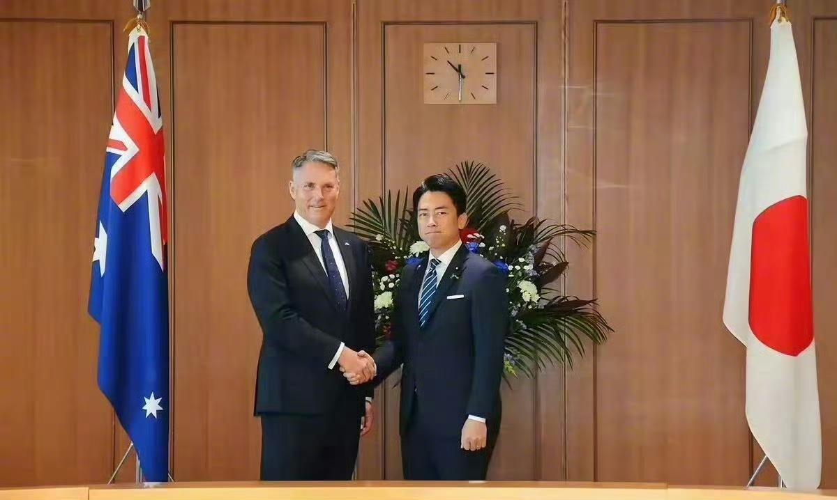 小泉进次郎，找澳大利亚告状，找德国告状，找意大利告状，找北约告状，找美国告状，能