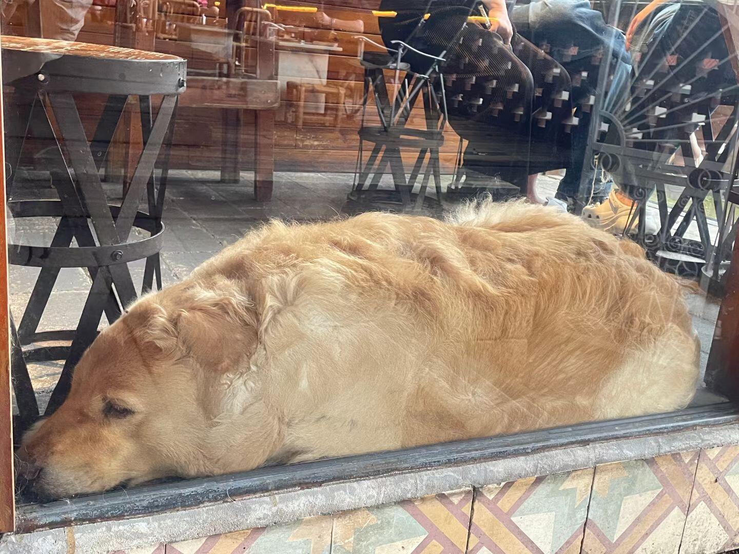 宝宝你是一块特香包 ​​​