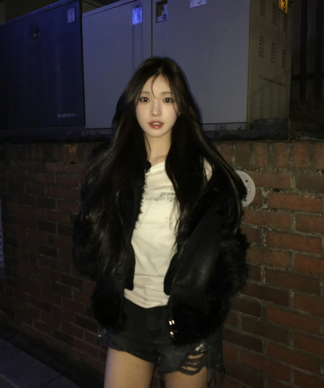 整个城市都睡着了 我们去散步吧  专栏 · 🐰家兔饲养指南🎀