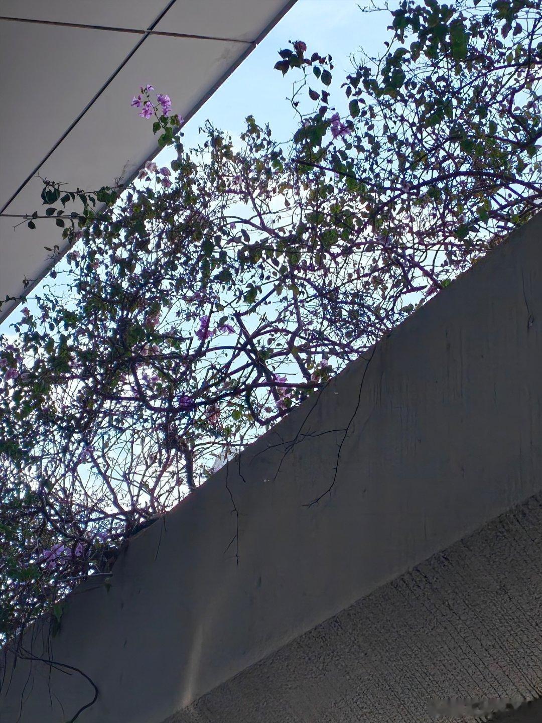 开心开心开心出来玩啦 