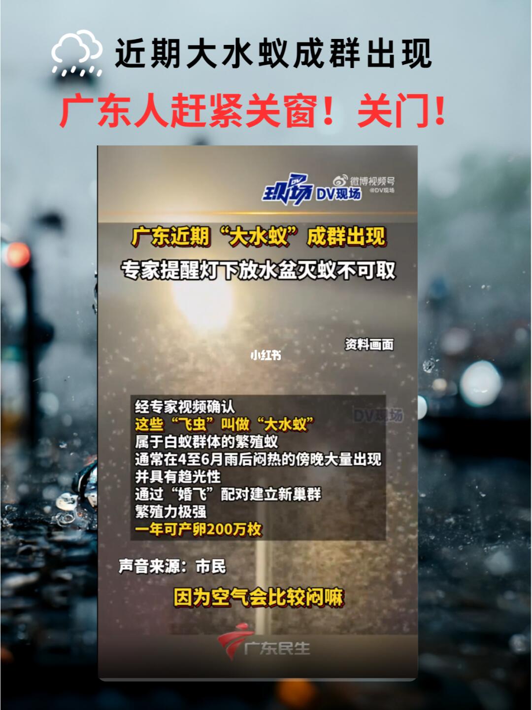 💦一下雨广东人最怕这玩意！灾难啊…