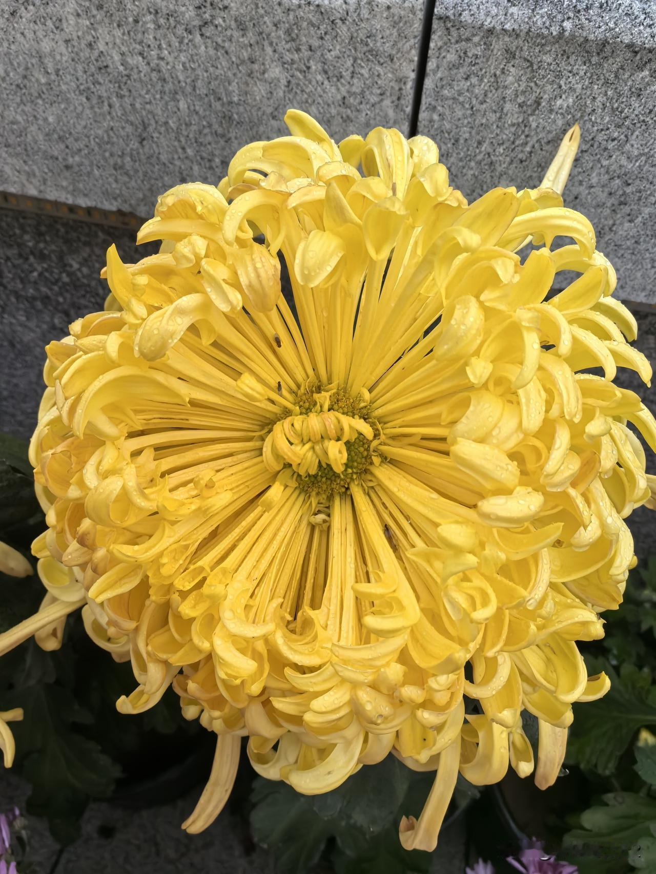 分析精彩，感谢辛苦创作[赞][赞][赞][赞]