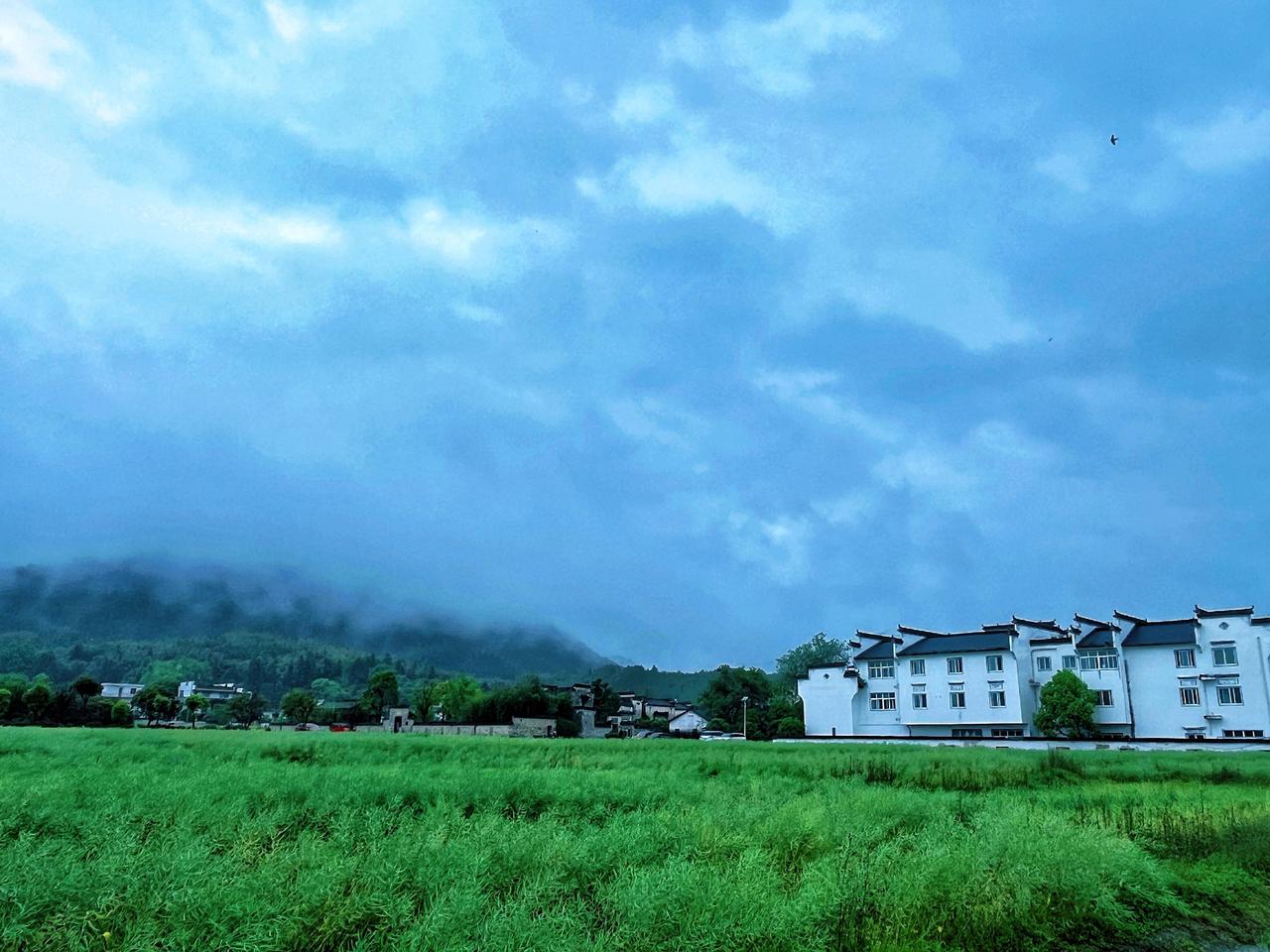 这连绵阴雨下的湿冷天气，需要热咖啡加两块齁甜齁甜的点心温暖一下……
皖南古村落 