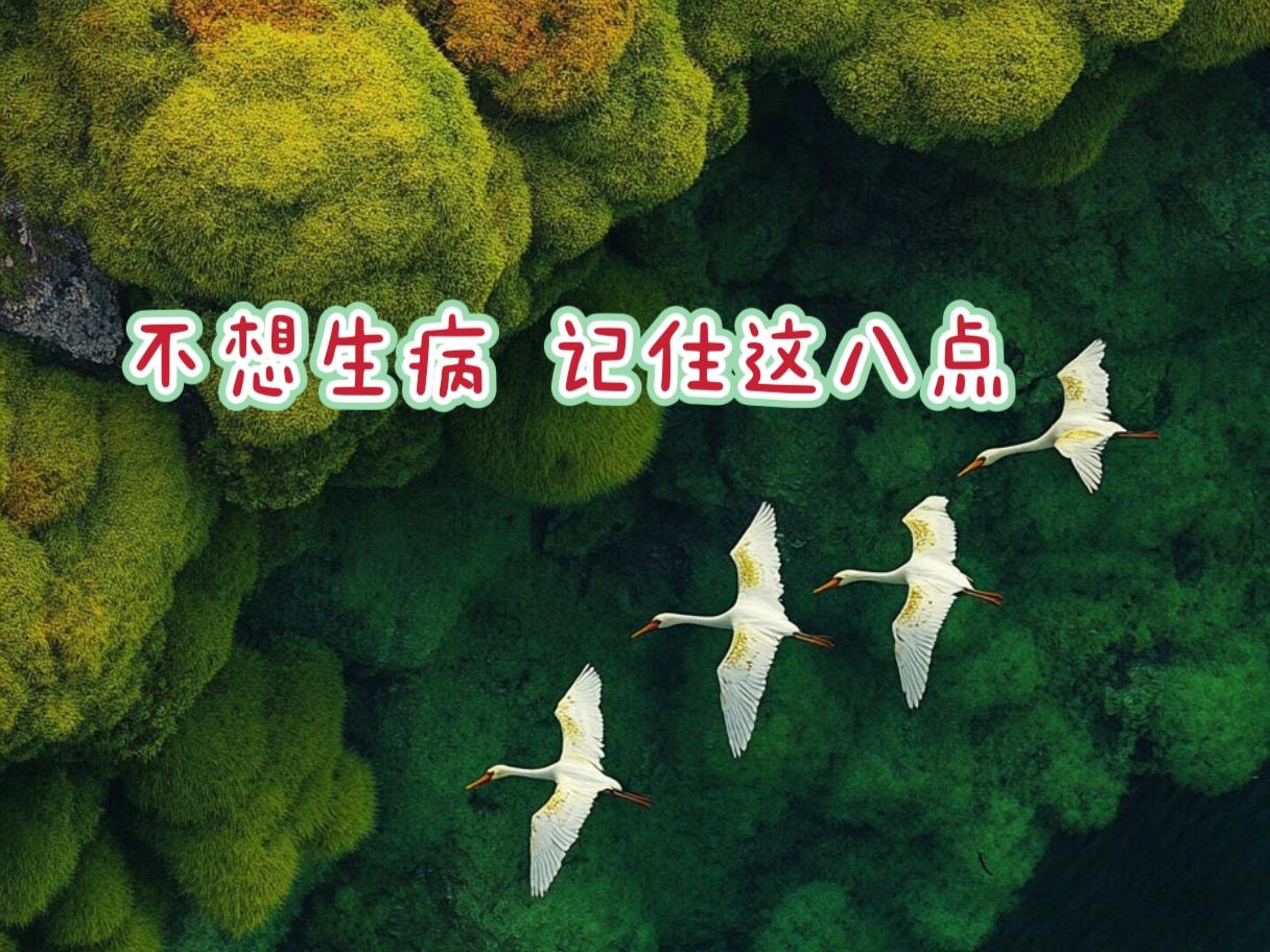 不想生病  记住这八点

① 早睡一点，动作慢一点！

② 饭量少一点，吃的杂一