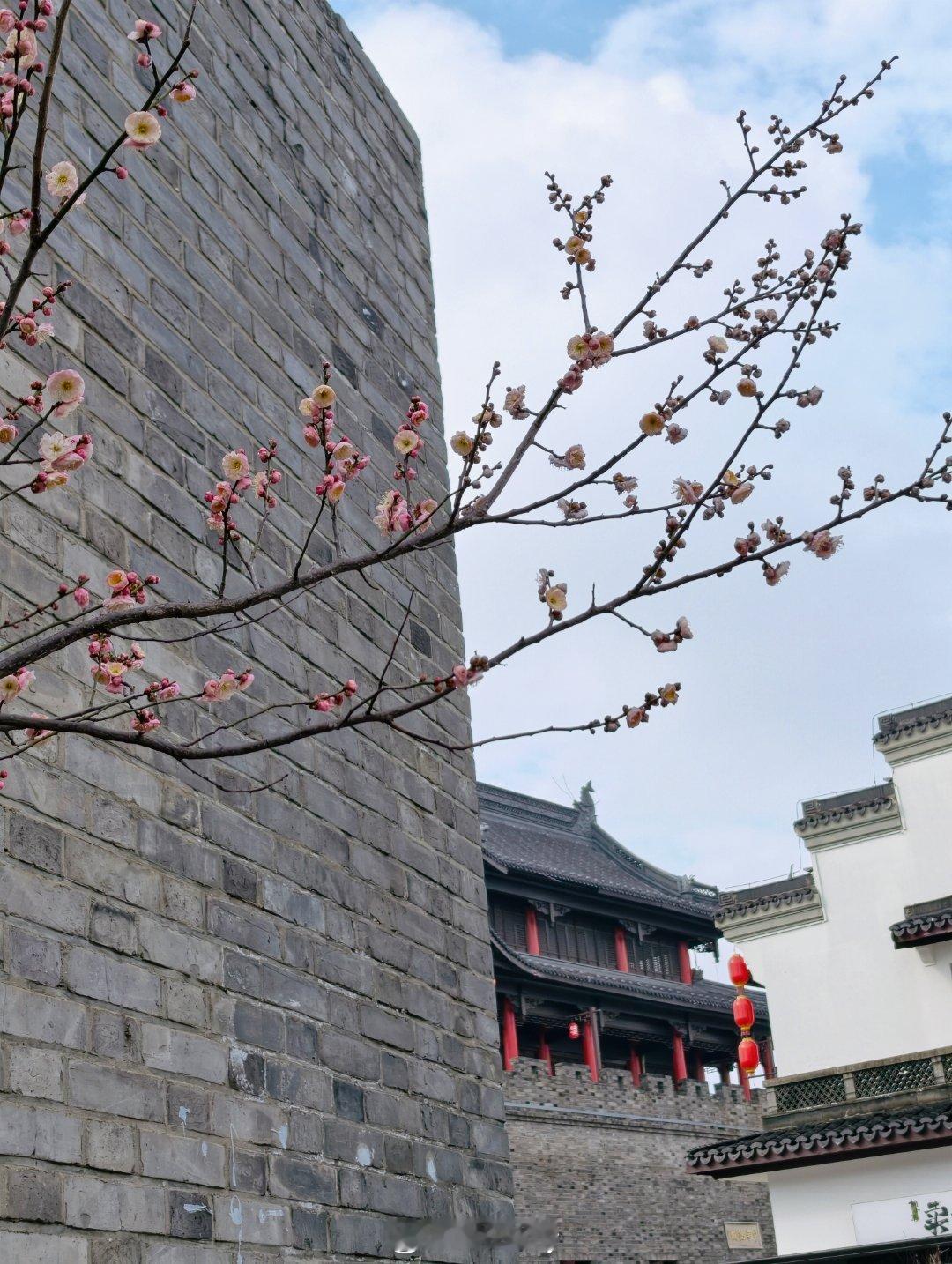 在无锡这边中转逛了据说是这边很火的小镇赏了夜景也等到了雨过天晴吃到了刚出锅的小笼