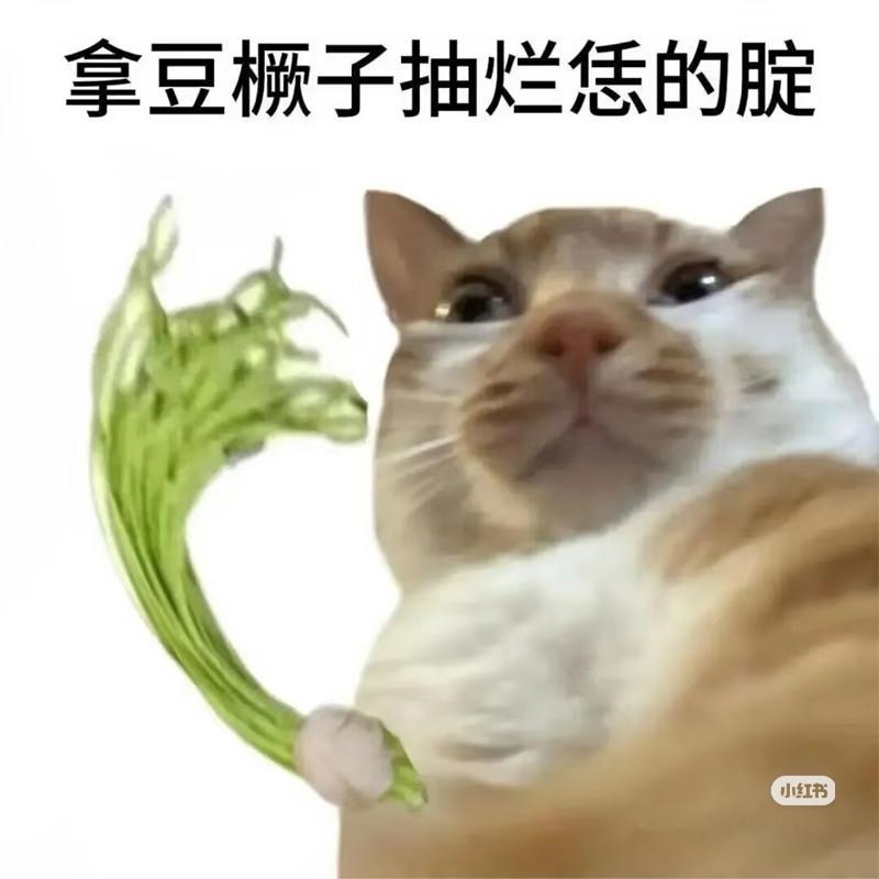 上了个仿真豆橛子玩具，今天卖了好多。一下想到下周很多的小猫都要被豆橛子“抽”就觉